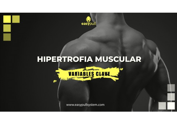 Variables clave en el entrenamiento de hipertrofia muscular